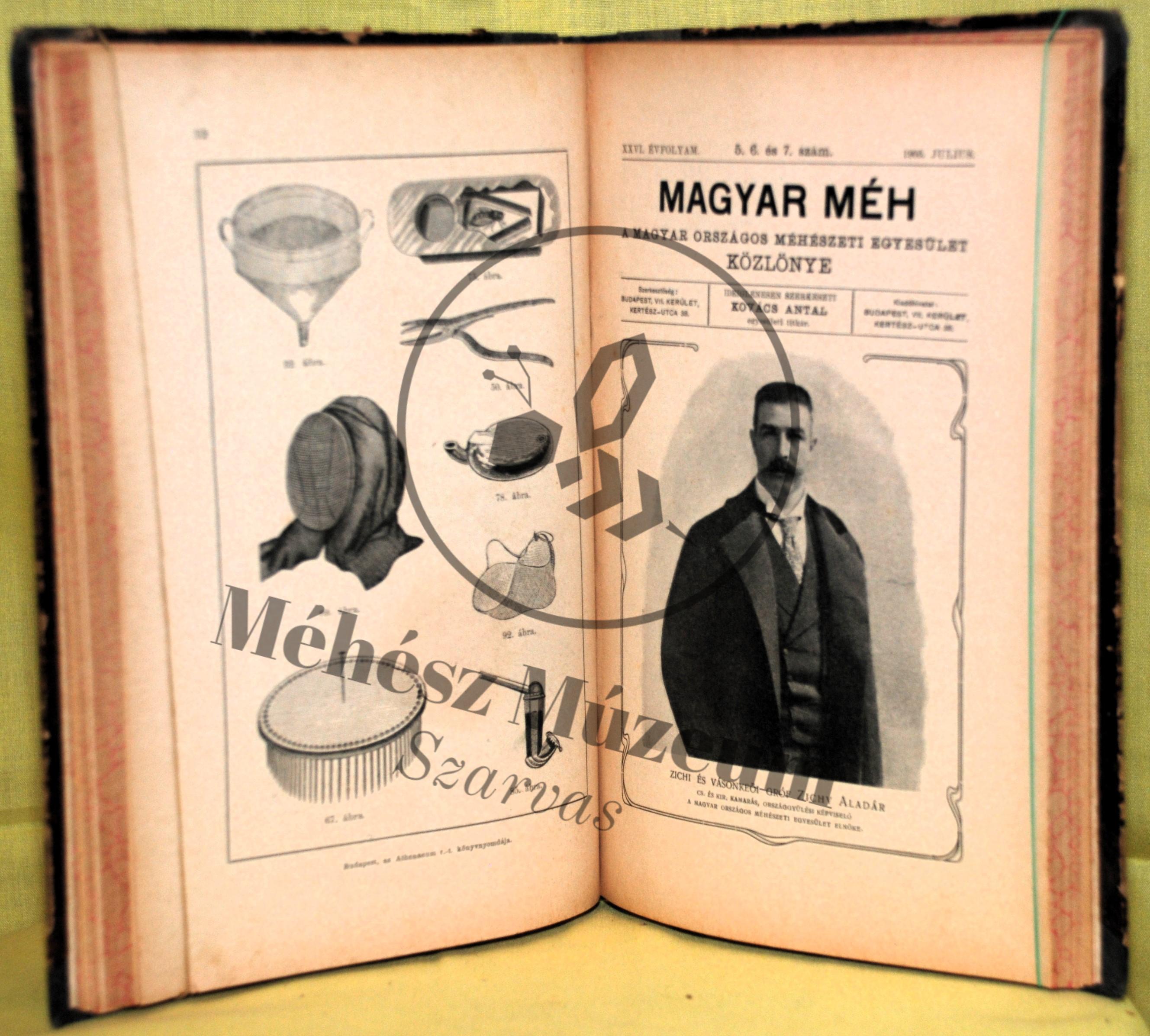 Magyar Méh