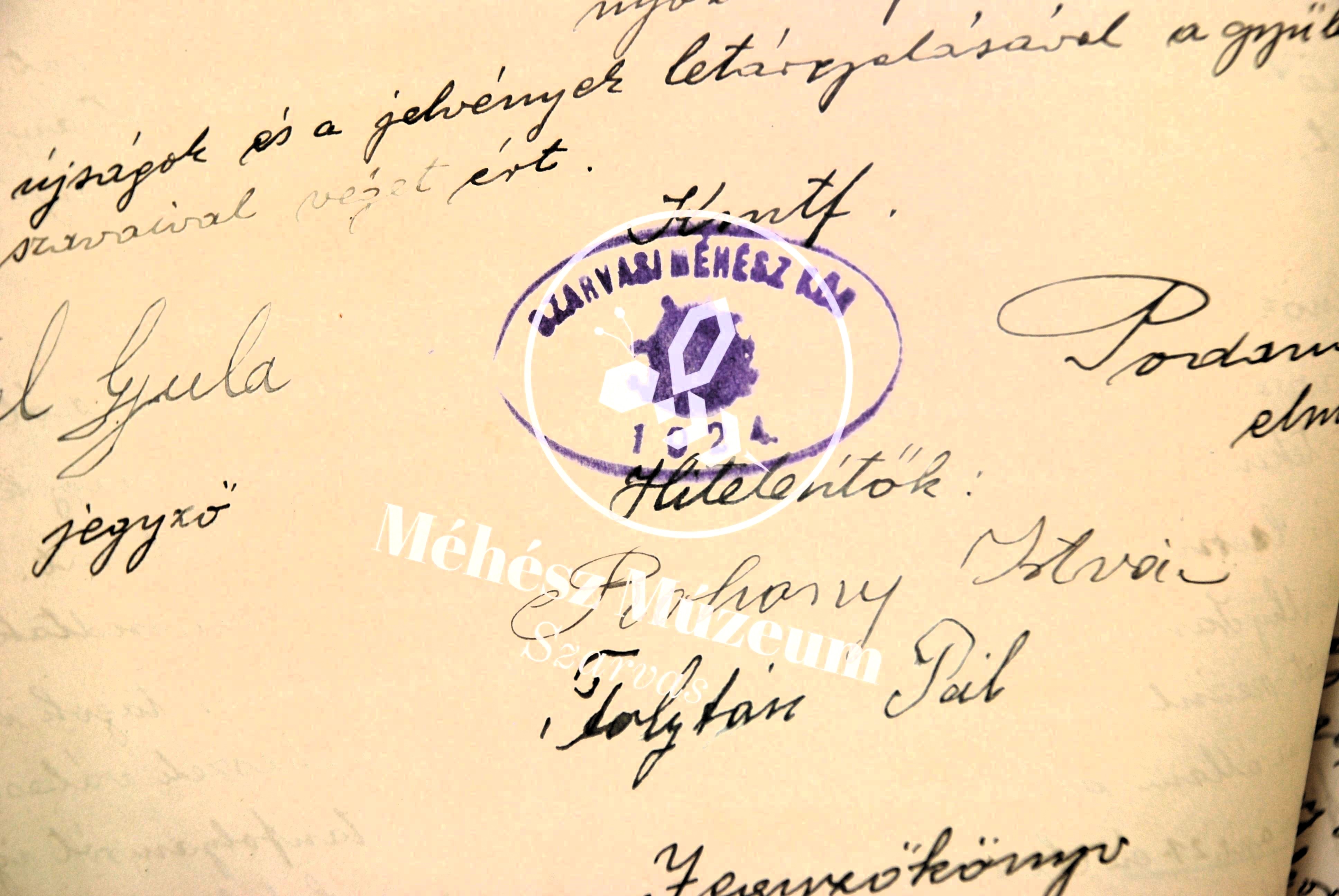 Jegyzőkönyv